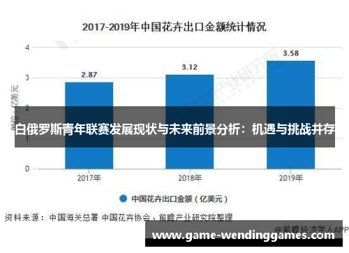 白俄罗斯青年联赛发展现状与未来前景分析：机遇与挑战并存