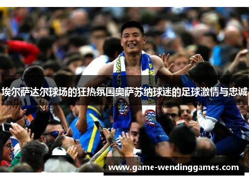 埃尔萨达尔球场的狂热氛围奥萨苏纳球迷的足球激情与忠诚