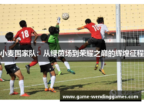 小麦国家队：从绿茵场到荣耀之巅的辉煌征程