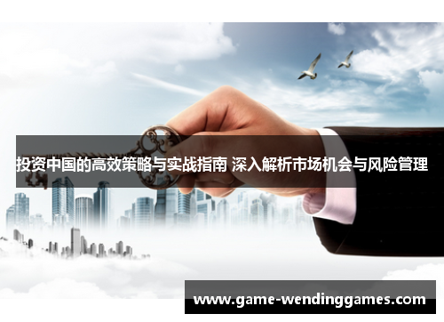 投资中国的高效策略与实战指南 深入解析市场机会与风险管理