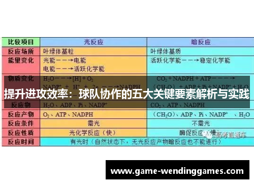 提升进攻效率：球队协作的五大关键要素解析与实践
