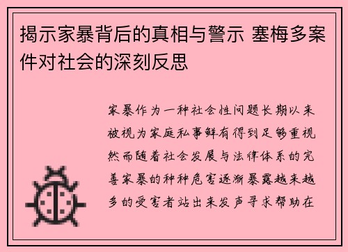 揭示家暴背后的真相与警示 塞梅多案件对社会的深刻反思