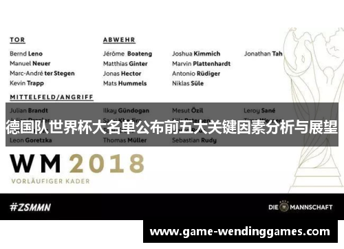 德国队世界杯大名单公布前五大关键因素分析与展望