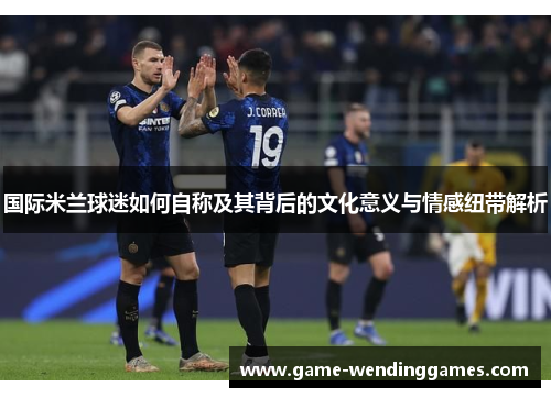 国际米兰球迷如何自称及其背后的文化意义与情感纽带解析