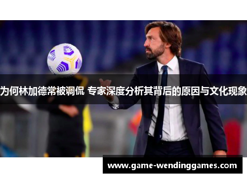 为何林加德常被调侃 专家深度分析其背后的原因与文化现象