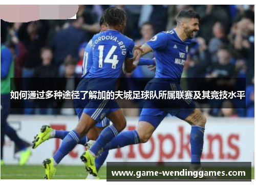 如何通过多种途径了解加的夫城足球队所属联赛及其竞技水平