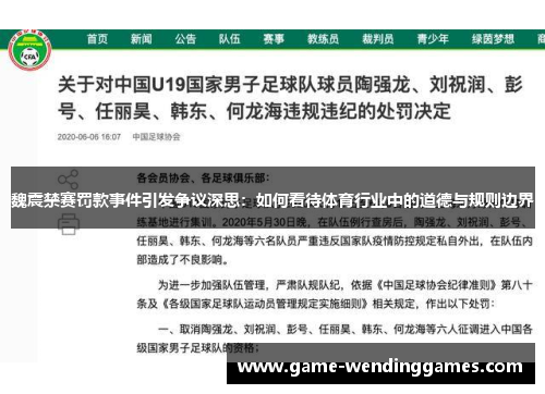 魏震禁赛罚款事件引发争议深思：如何看待体育行业中的道德与规则边界