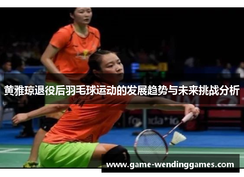 黄雅琼退役后羽毛球运动的发展趋势与未来挑战分析