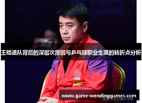 王皓退队背后的深层次原因与乒乓球职业生涯的转折点分析