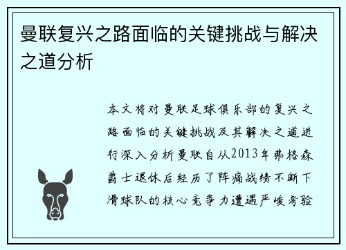 曼联复兴之路面临的关键挑战与解决之道分析